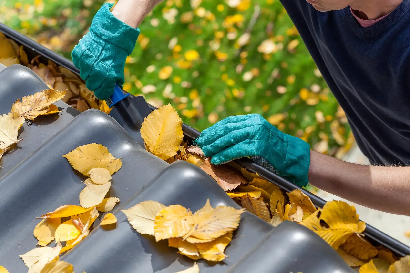 2024-09-10-Simple-Autumn-Cleaning-Tips-to-Prep-Your-NC-Home-for-Fall-1