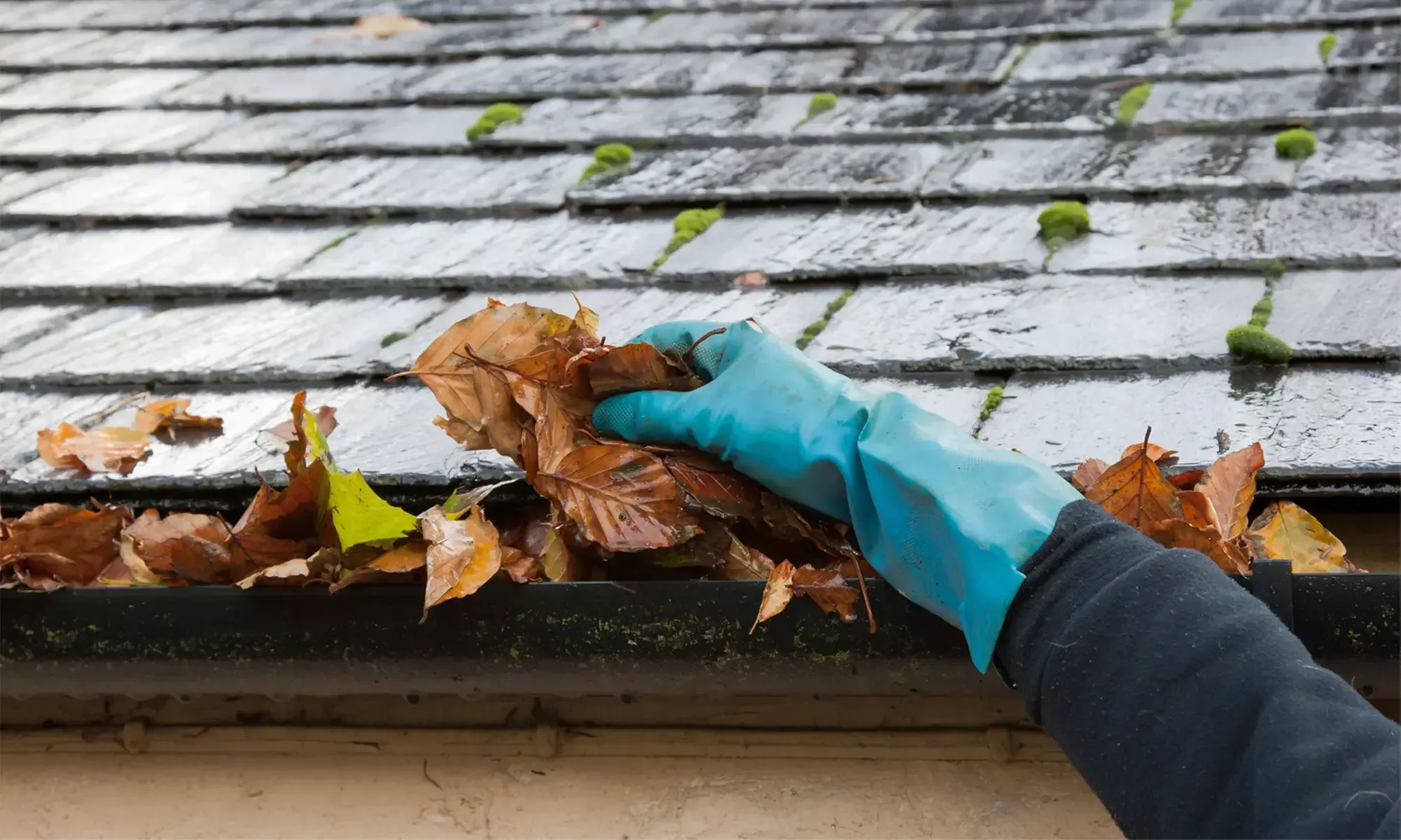 2024-10-10-Simple-Autumn-Cleaning-Tips-to-Prep-Your-NC-Home-for-Fall