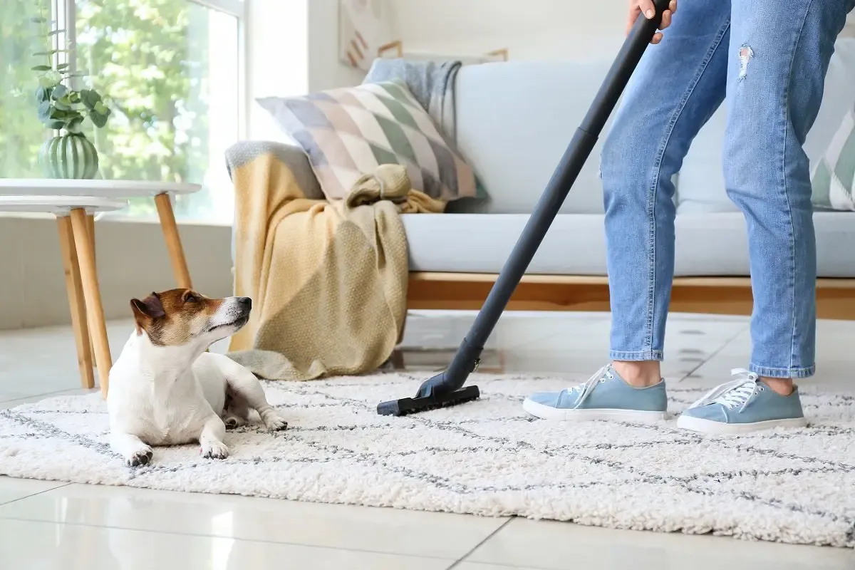 2024-10-Cleaning-Tips-for-Pet-Lovers_-How-to-Keep-Your-Home-Fresh-1