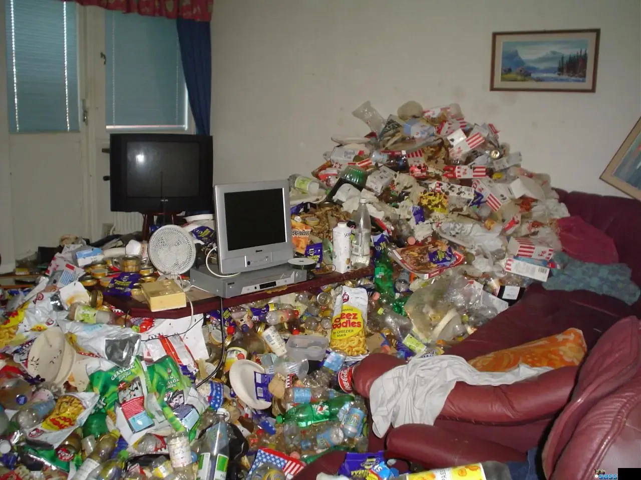2024-11-The-Messy-Home-Dilemma_-Lost-Socks-and-Culinary-Calamities