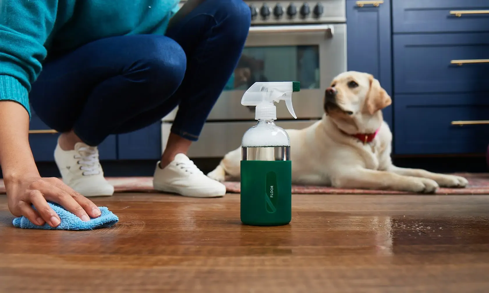 2024-12-Cleaning-Tips-for-Pet-Lovers_-How-to-Keep-Your-Home-Fresh