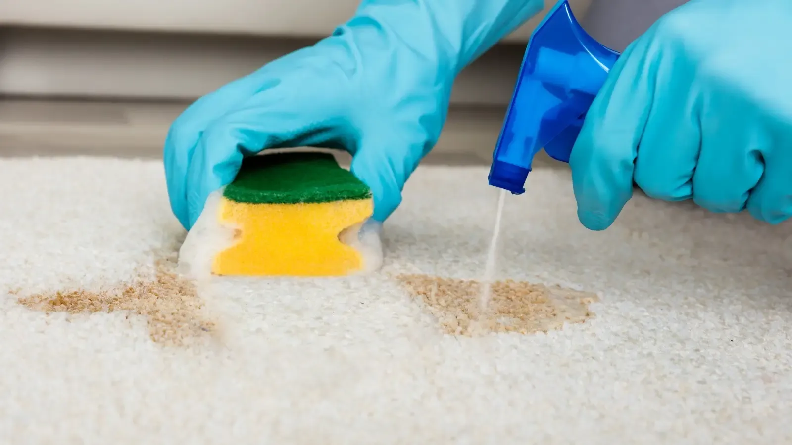 2024-12-How-to-Remove-Stubborn-Stains-Like-a-Pro